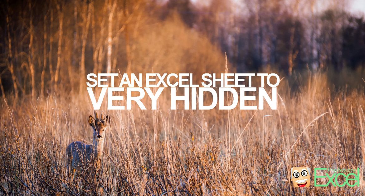 VERY HIDDEN: How to Hide an Excel Sheet.