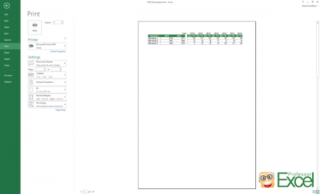 print, printing, printout, dialogue, excel