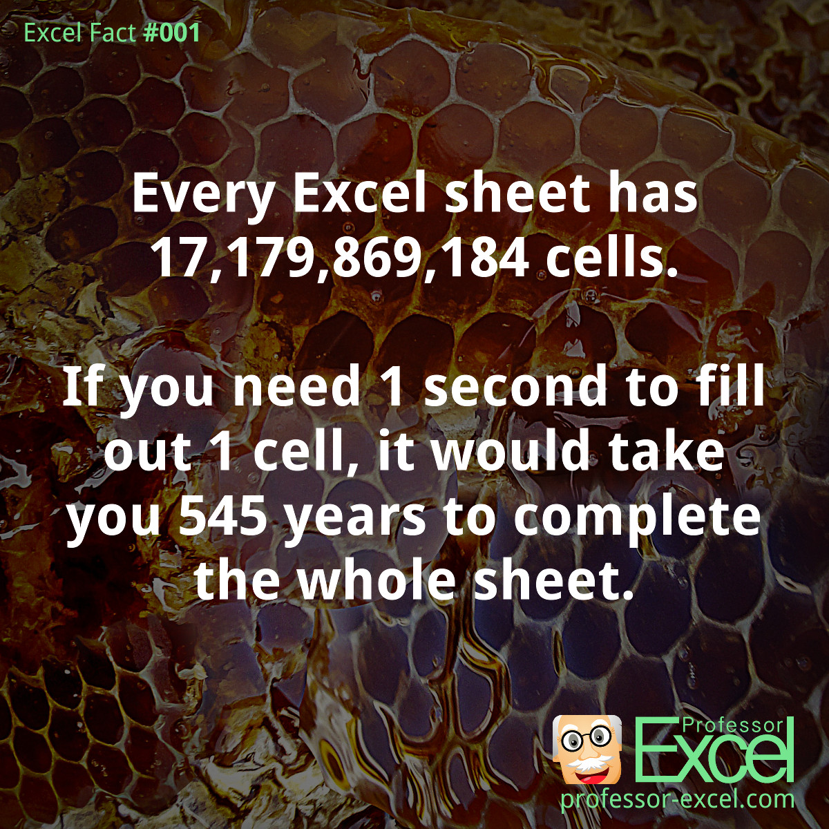 excel, fact, sheet, number, cells