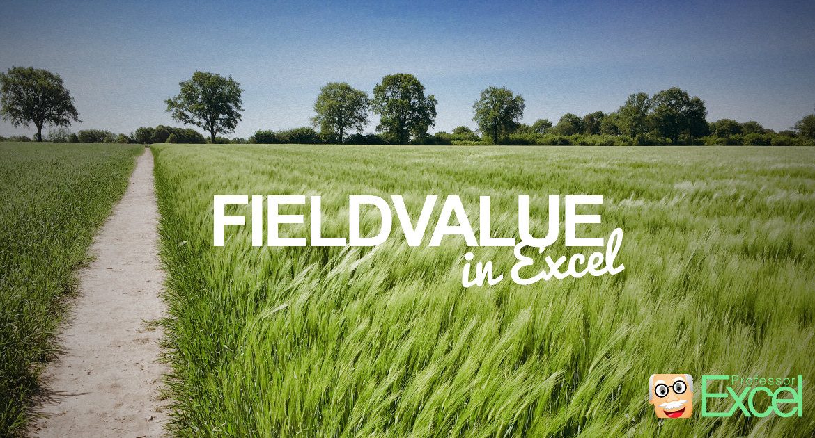 FIELDVALUE formula in Excel