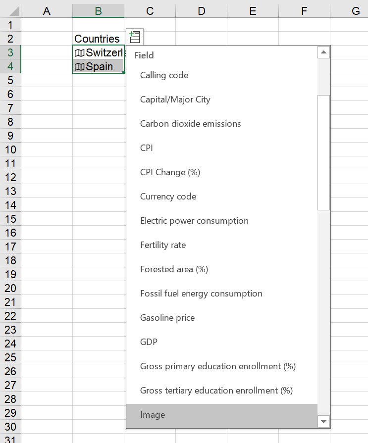 Once convert to data type "Geography", you can easily insert the flag images.