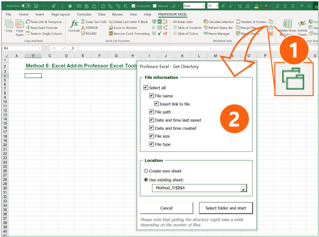 The Excel add-in Professor Excel Tools provides a function to insert a directory in Excel.