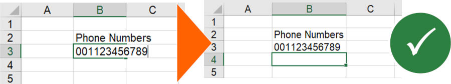 Setting the cell format to text usually also works for entering a phone number in Excel.