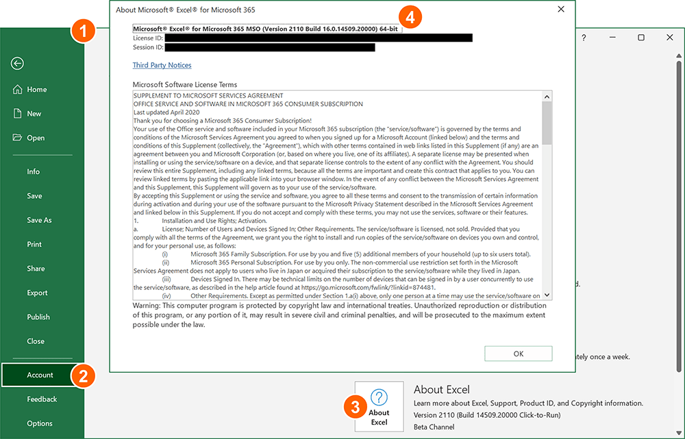 Look up the version number of your current Excel version.