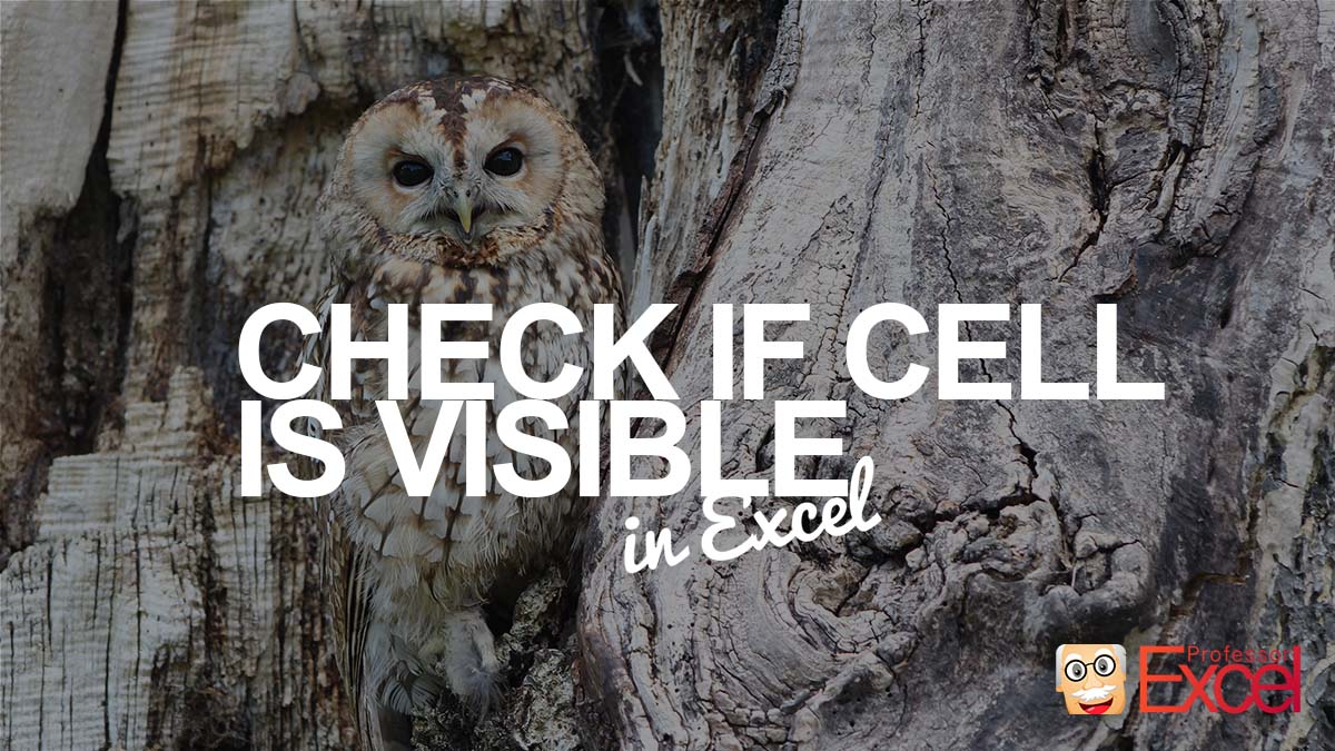 Check if cell is visible in Excel